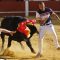 Emoción y riesgo en el certamen de cortes “Dioses en la arena” que ganó  el madrileño Rubén Fernández “Cuatío”