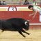 Emoción y riesgo en el certamen de cortes “Dioses en la arena” que ganó  el madrileño Rubén Fernández “Cuatío”