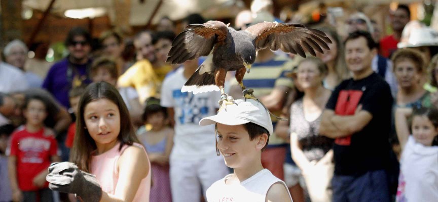 La Feria Medieval Mudéjar tendrá lugar del 22 al 24 de agosto.