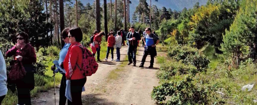 Vecinos de San Gil, La Cuesta y El Salvador comparten una jornada de senderismo en la sierra de Navafría