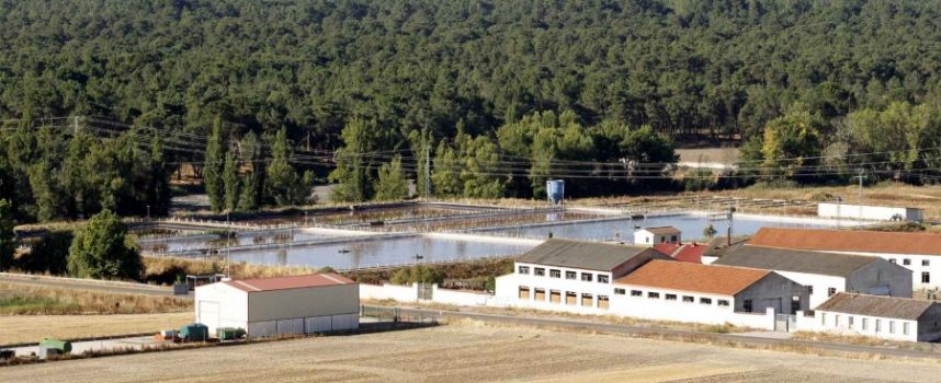 La Confederación Hidrográfica del Duero licita la mejora y ampliación de la EDAR de Cuéllar