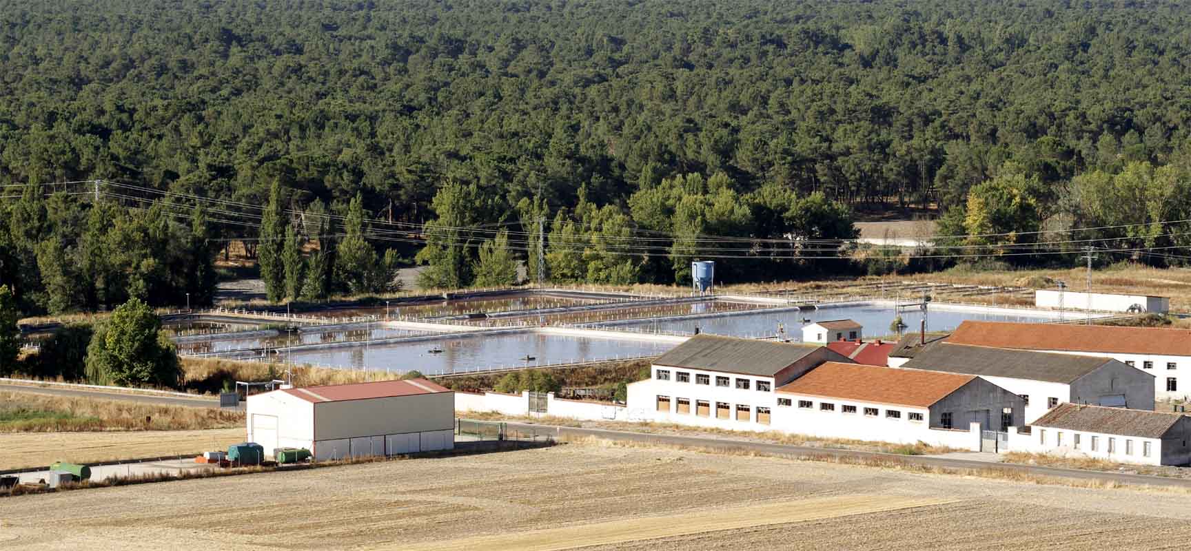 Vista general de las instalaciones de la EDAR de Cuéllar. 