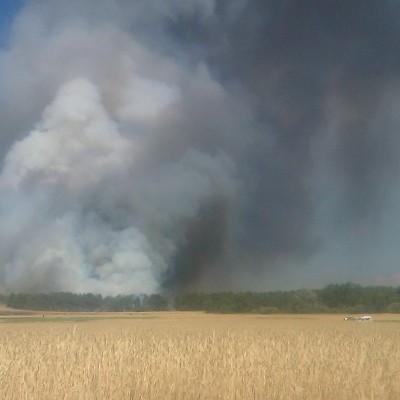Una máquina o motor originó el incendio que arrasó el jueves 30,9 hectáreas de cereal en Sacramenia