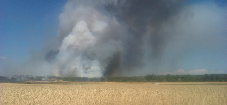 Imagen de archivo de un incendio en los pinares.