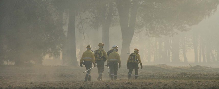 Controlado el incendio en Pinarejos en el que han ardido 26 hectáreas de masa forestal y arbolado