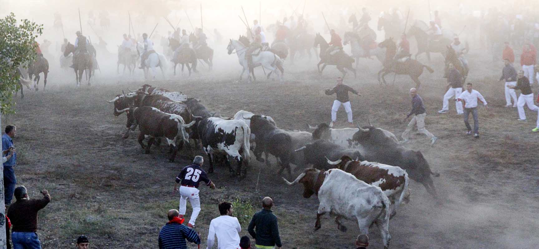 Imagen de una suelta con caballistas al fondo. | Foto: Gabriel Gómez |