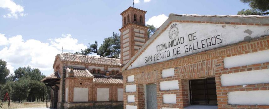 La Asociación Cultural San Benito de Gallegos finalista por segundo año de los Premios Macario Asenjo Ponce