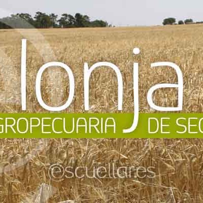 Cotizaciones Lonja Agropecuaria de Segovia