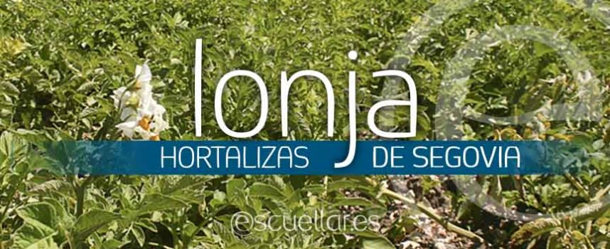Cotizaciones hortalizas lonja de Segovia