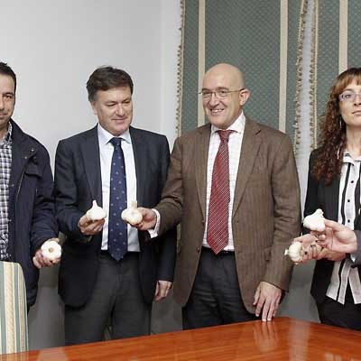La Asociación para la promoción del Ajo de Vallelado se integra en Alimentos de Segovia