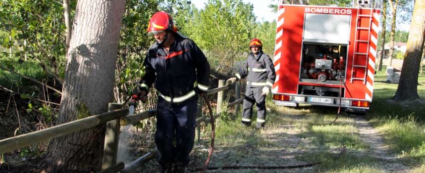 La Junta alerta del incremento de riesgo meteorológico de inicio y propagación de incendios forestales del 3 al 7 de julio