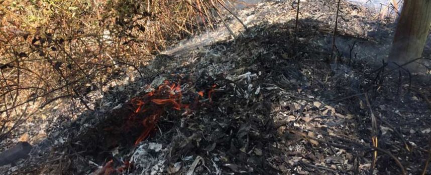 La Junta alerta del incremento de riesgo meteorológico de inicio y propagación de incendios forestales  mañana en la región