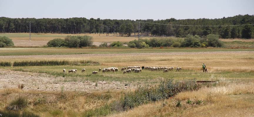 UCCL Segovia alerta sobre una oleada de robos en explotaciones agrícolas