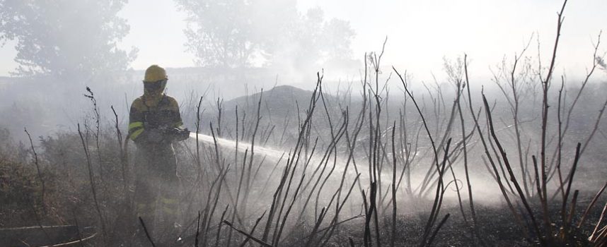 Continúa activo un incendio forestal en Sanchonuño
