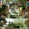 Noventa y cuatro jugadores se dieron cita en el III Torneo de ajedrez “Villa de Cuéllar”