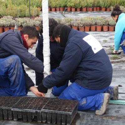 Siete jóvenes iniciarán en noviembre el programa mixto de Formación y Empleo “Jardines Ambientales Femur III”