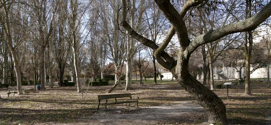 Medio Ambiente iniciará en noviembre las podas y tratamientos en parques y jardines de la villa