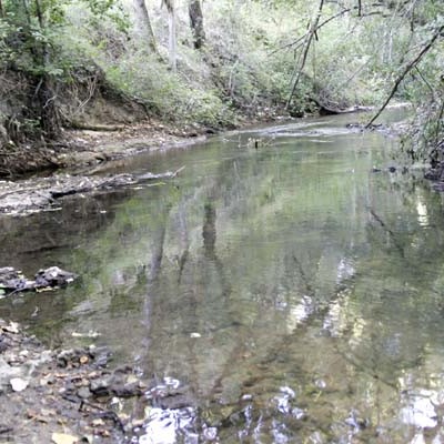 `Cambio climático y rio Cega´ centran las actividades programadas por la Asociación El Espadañal