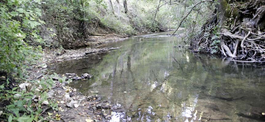 “El agua en la Tierra de Pinares” centrará la jornada de la Asociación para la Defensa de la Naturaleza “El Espadañal”