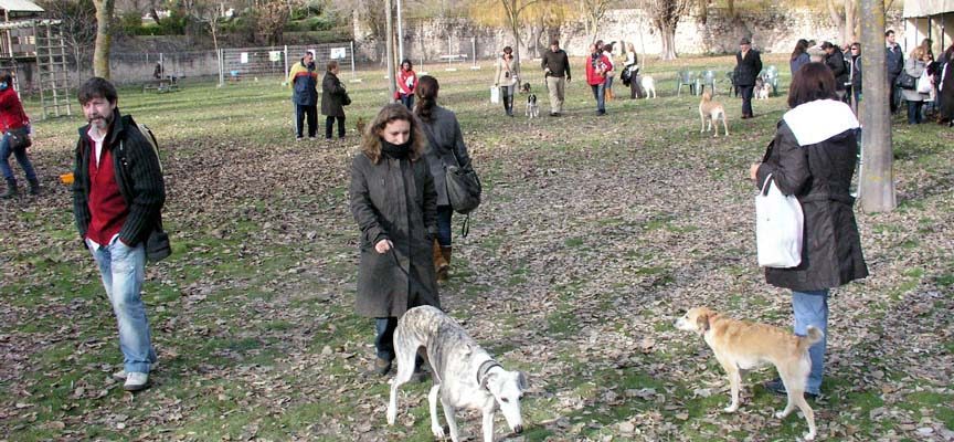 La Diputación pondrá en marcha un servicio de perros abandonados de ámbito provincial
