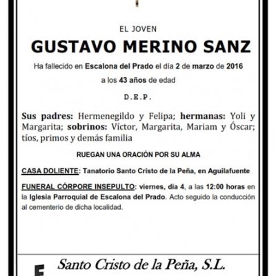 Gustavo Merino Sanz