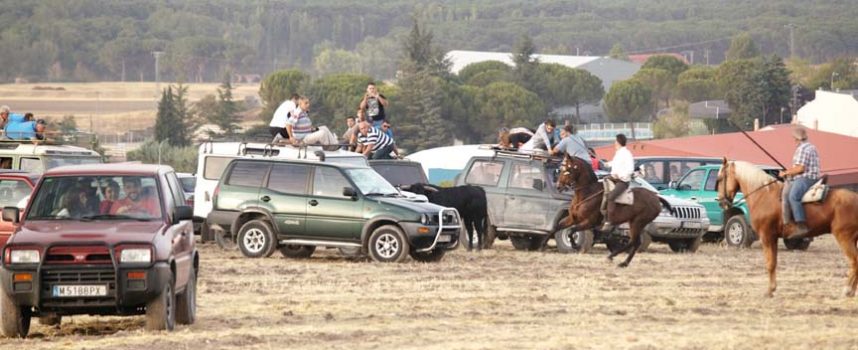 La Junta tramita cinco expedientes por la invasión de vehículos en el recorrido de los toros en los encierros de Cuéllar de 2015