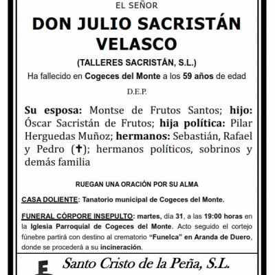 Julio Sacristán Velasco