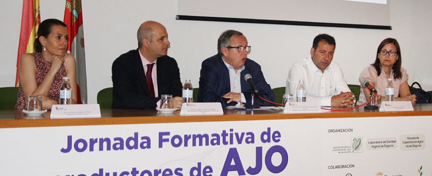 La Asociación Ajo de Vallelado reúne hoy en Segovia a cien productores en una jornada formativa