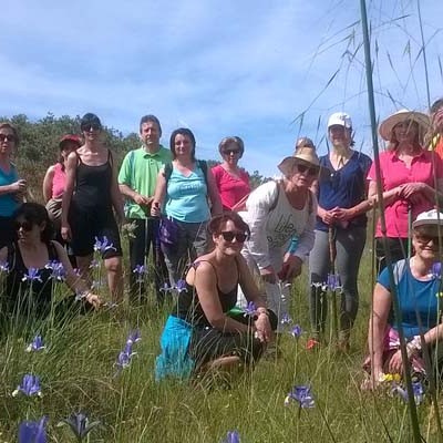La Asociación La Peguera disfrutó en su ruta de la vegetación del entorno de Zarzuela del Pinar