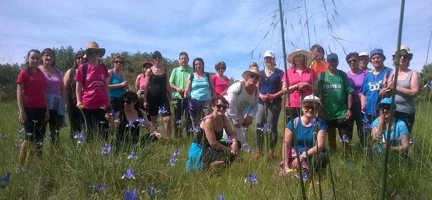 La Asociación La Peguera disfrutó en su ruta de la vegetación del entorno de Zarzuela del Pinar