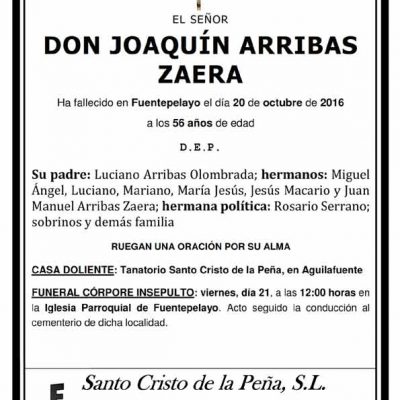 Joaquín Arribas Zaera