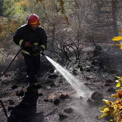 La Junta declara peligro medio de incendios forestales en toda la Comunidad hasta el jueves 6 de junio
