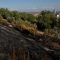 Extinguido un incendio en la zona alta de la Huerta del Duque