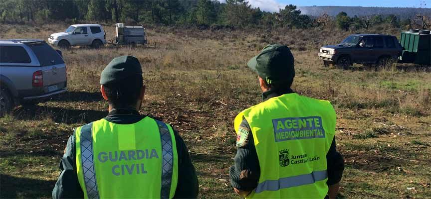La Junta de Castilla y León y la Guardia Civil colaboran en el control de la caza mayor en la provincia