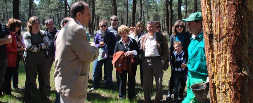 El PSOE pide en las Cortes la implicación del ECyL en la formación de resineros