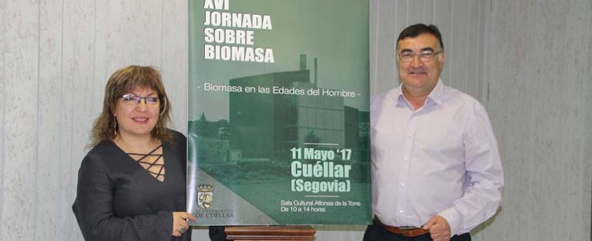 Las Jornadas de Biomasa abordarán su uso en grandes instalaciones de carácter religioso