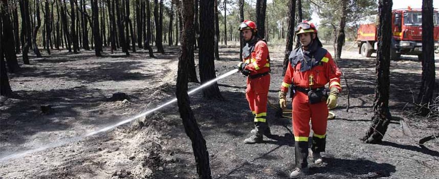 La Junta declara peligro medio de incendios forestales en toda la Comunidad del 13 al 15 de mayo