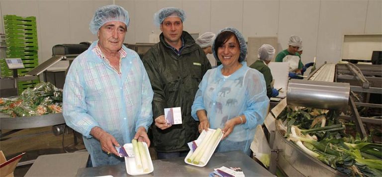 Cuéllar y Las Edades llegarán a 35.000 hogares de la mano de las verduras de la empresa Tabuenca