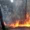 La Junta mantiene el nivel 1 en el incendio de Navalilla por las malas condiciones meteorológicas
