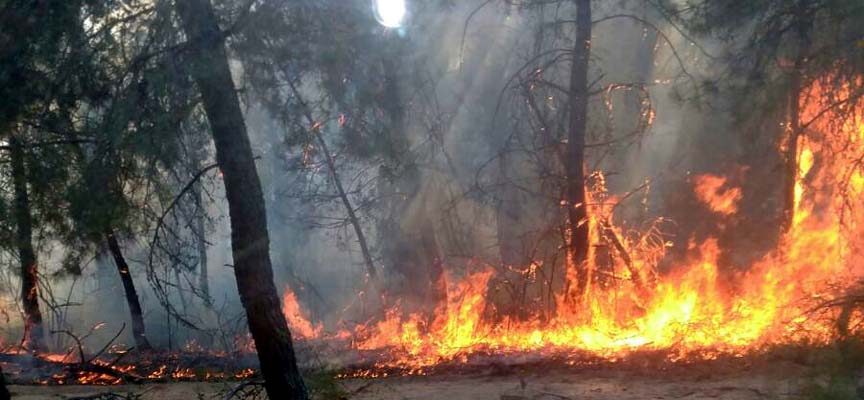 La Junta mantiene la declaración de peligro medio de incendios forestales hasta el 11 de mayo