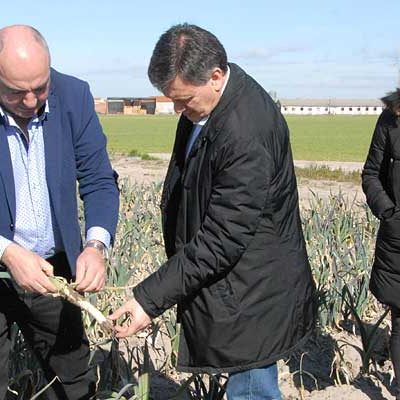 Diputación y Asoprofit renuevan el convenio para mantener la calidad de los cultivos hortícolas