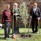 Los mayores adelantan la celebración del Día del Árbol plantando un olivo