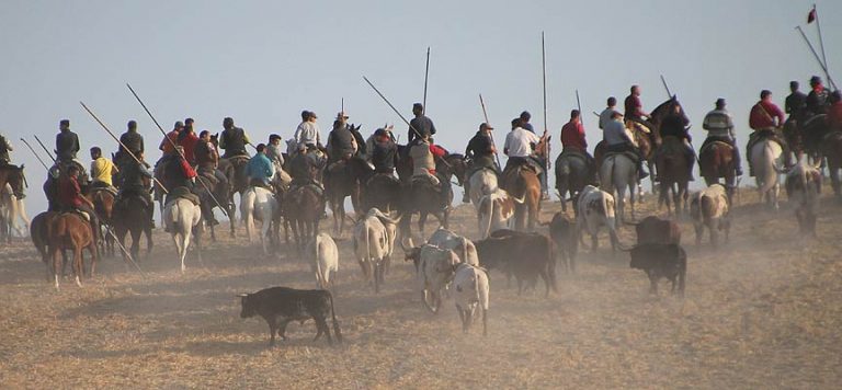 María Domeq recogerá el viernes el Trofeo a la Mejor Ganadería de los Encierros 2018 otorgado a Lagunajanda