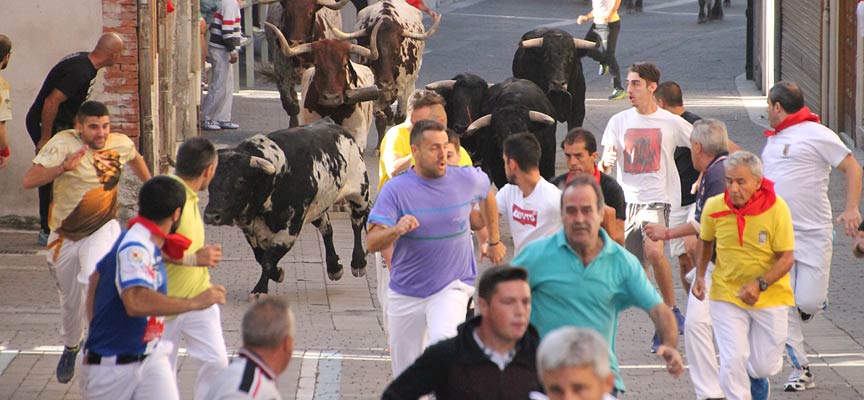 Encierro-en-la-calle-de-las-Parras-Cuéllar-escuellar