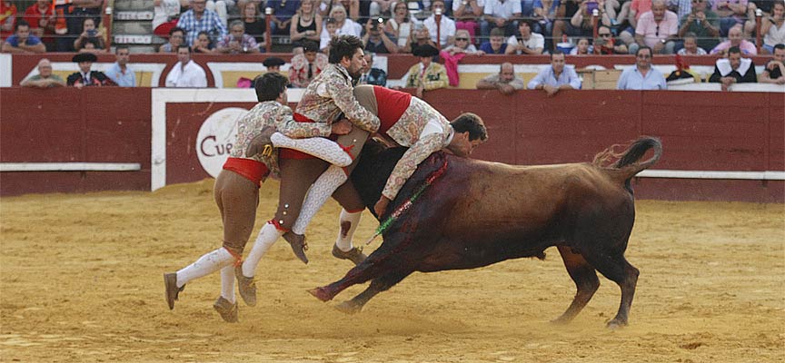 Forcados-Amadores-de-Alenquer-en-la-novillada-mixta-feria-taurina-Cuéllar-2018