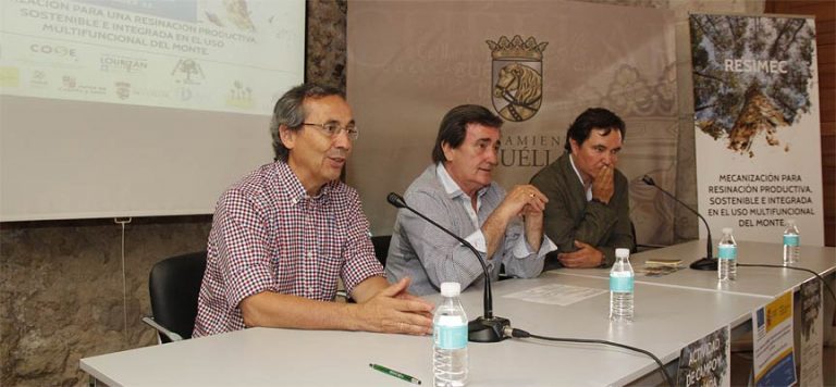 Las lluvias de la primavera y el calor del verano han propiciado una buena campaña de resina