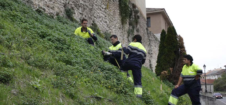 Programa-mixto-formación-empleo-Cuéllar-escuellar