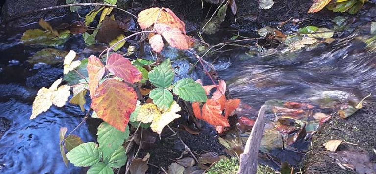 Un paraíso a la puerta de casa