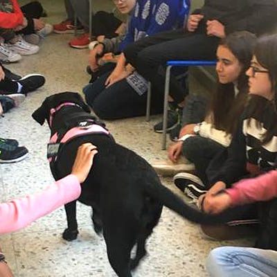 Abril acercó el programa de apoyo educativo asistido por perros al IES Marqués de Lozoya