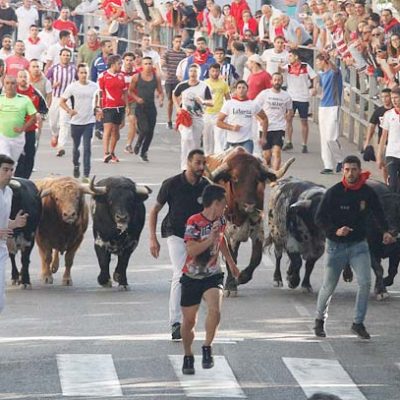 La ganadería Condessa de Sobral protagonizará las XXVII Jornadas taurinas de la Peña El Encierro